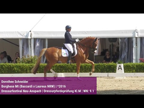 BuCha-Quali Neu-Anspach – Dorothee Schneider & Borghese Mt