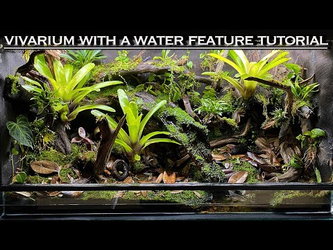 EPIC Vivarium With a Water Feature Bioactive Tutorial!!