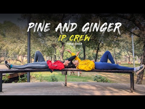PINE & GINGER | Amindi, Tessellated & Valleyz | IP CREW