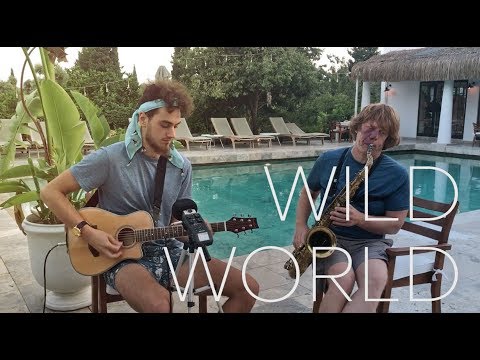 Evrencan Gündüz - Wild World