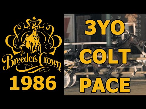 1986 Breeders Crown - Masquerade - 3YO Colt Pace