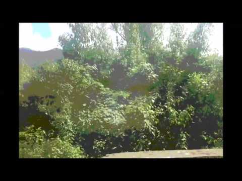 Dapanji vs Programind vs Mystical Complex - Bass Download