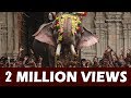 Thechikottukavu Ramachandran Elephant At Thrissur Pooram 4K ARN MEDIA