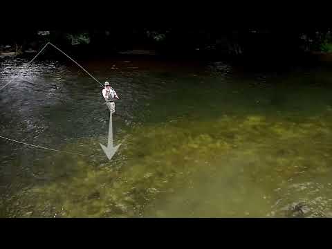 Sunray | How to Fly Cast | Switch Cast