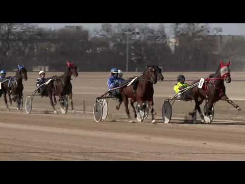 2017.03.04. 1. futam - UNOKA HENDIKEP