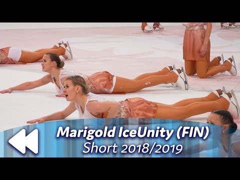 Marigold IceUnity (FIN) - Short 2018/2019