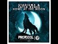 Stadiumx feat. Taylr Renee - Howl at the Moon ...