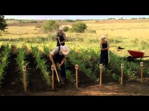 Second Hand Lions Garden Scene