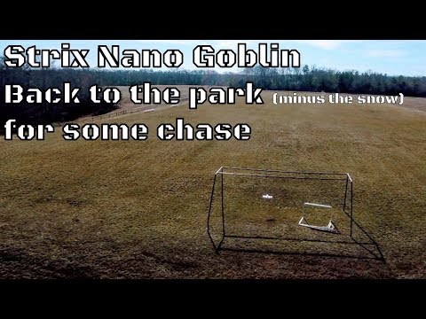 nano-goblin-chase-at-the-park