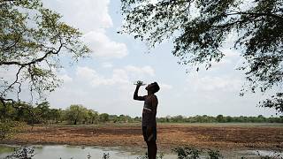 Sri Lanka: Brunnen versiegen, Wasserstellen schrumpfen in Dürre