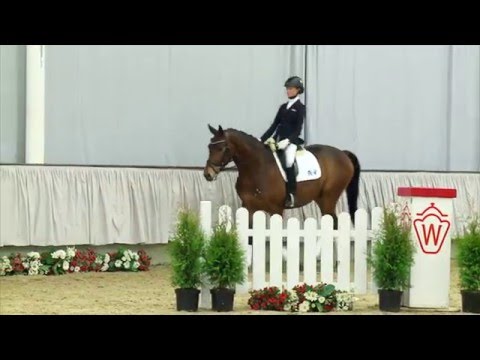 06 Stromberg Wallach v. San Amour I -  Florestan I