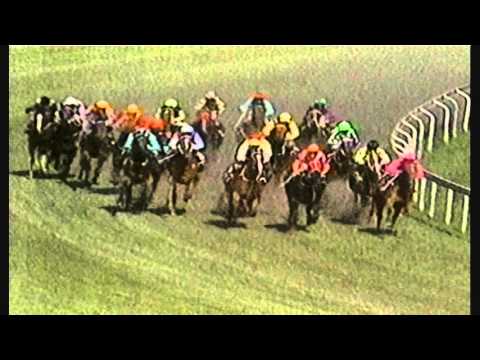 1985 VATC Caulfield Eclipse Stakes Day Races 7 -8