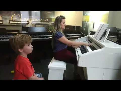 Hino 260 CCB - Teste no orgão TOKAI MD 750 Gold Danúbia e Miguel