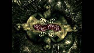 Victims - Killing Senses