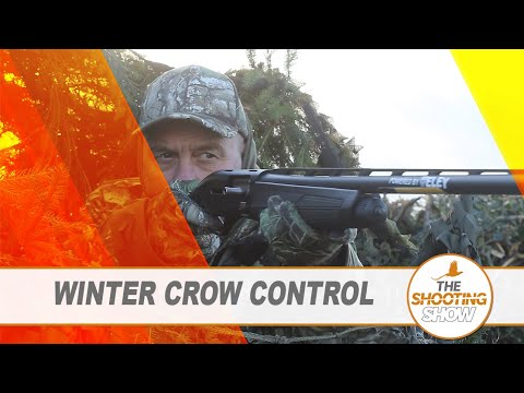 The Shooting Show - Crows over winter crops, duck flighting PLUS squirrel and rabbit control