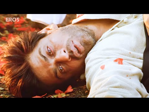 Devdas DIED without Meeting Paro - Aishwarya Rai Bachchan, Shahrukh Khan | Devdas Movie Scene
