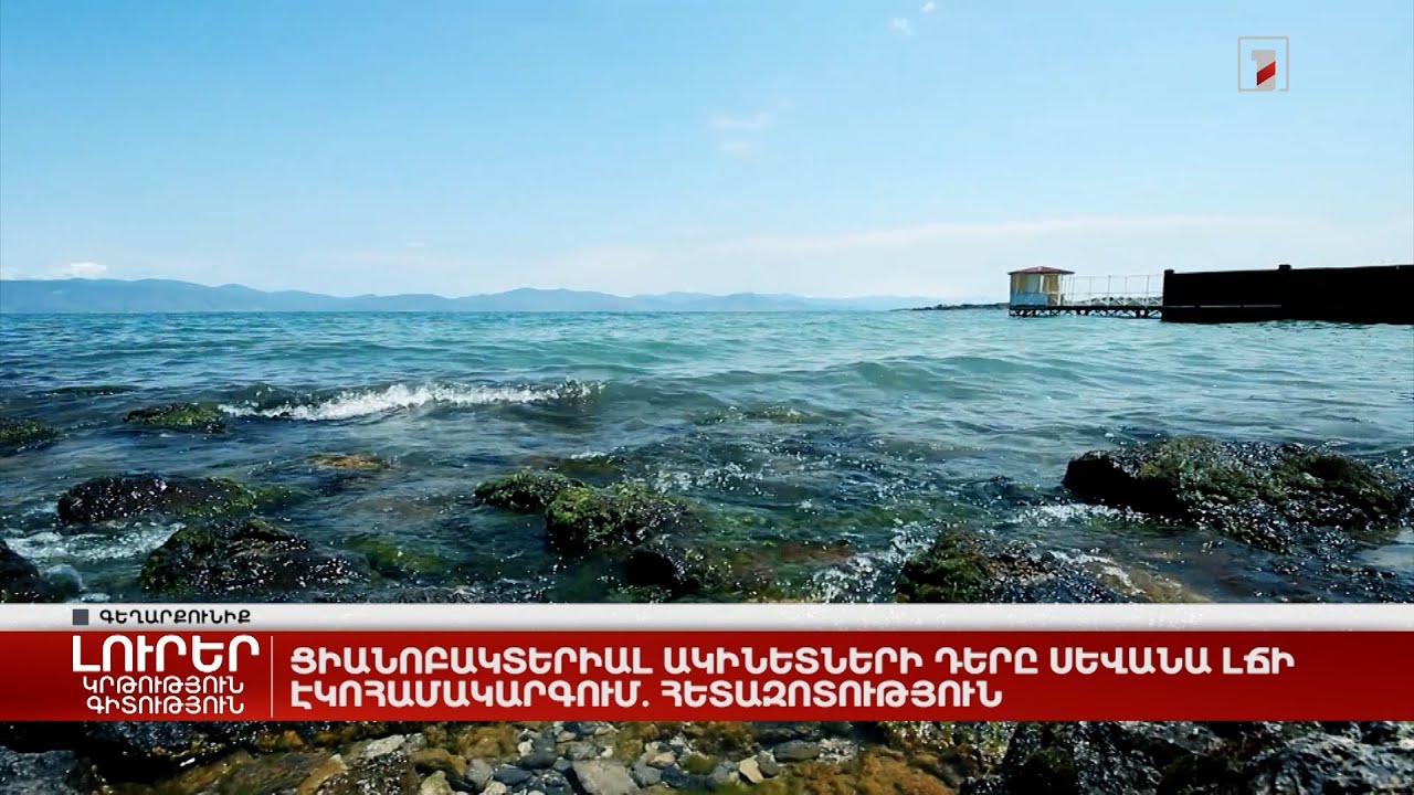 Ցիանոբակտերիալ ակինետների դերը Սևանա լճի էկոհամակարգում. հետազոտություն