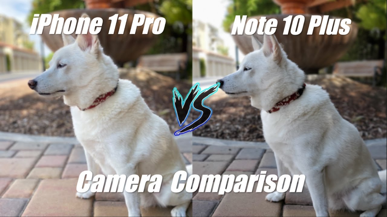iPhone 11 Pro vs Samsung Galaxy Note 10 Plus Camera Comparison