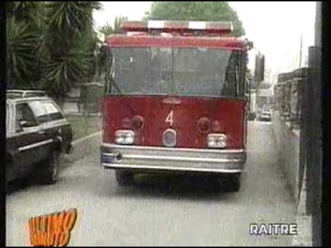 Trasmissione Ultimo Minuto - Episodio smarrimento dalmata