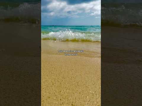 This is the #1 beach in the Carribean! #travel #tips #travelvlog #solotravel travelblogger