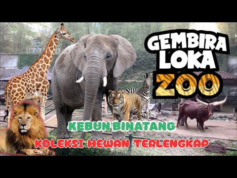 Kebun Binatang Gembira Loka Zoo JOGJA ! KOLEKSI HEWAN TERLENGKAP 4K | Kebun Binatang GL Zoo Yogya
