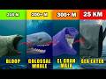 6 Internet S Mythical Deep Sea Creature Explained