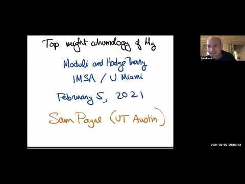 Top Weight Cohomology of M_g
