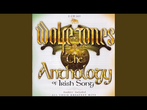 Paddys Night Out - The Wolfe Tones