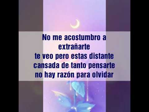 SÁLVAME - LUISA FERNANDA W + EQUIPO GANADOR  (LETRA ) COVERSO 💜💙🤙🏻