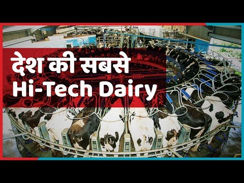 download lagu mp3 mp4 Bhagyalaxmi Dairy Farm Visit, download lagu Bhagyalaxmi Dairy Farm Visit gratis, unduh video klip Bhagyalaxmi Dairy Farm Visit