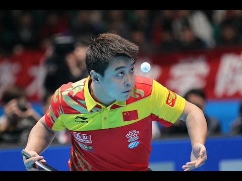 German Open 2014 Highlights: Wang Hao vs Katkov Ivan (Round 1)