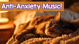 Relaxing Cat Music | 11 Hours of Quiet Sound for Rest & Comfort