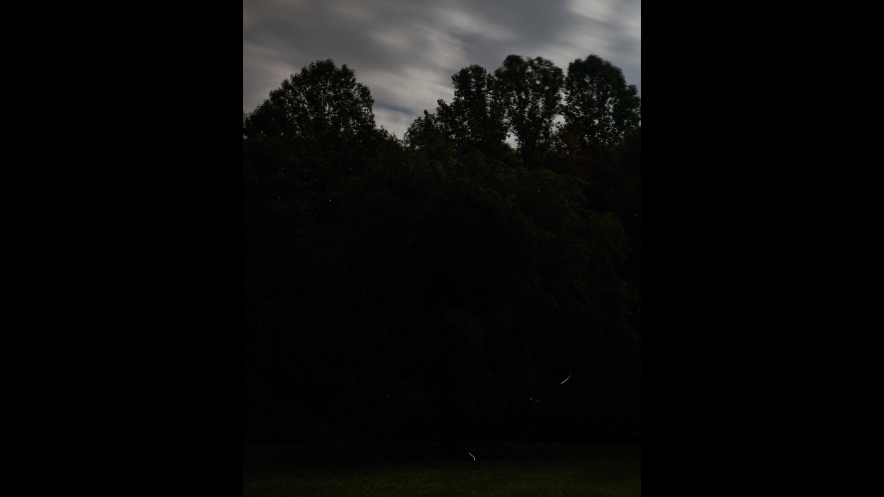 Promotional video thumbnail 4 for Eric Voigt Photography