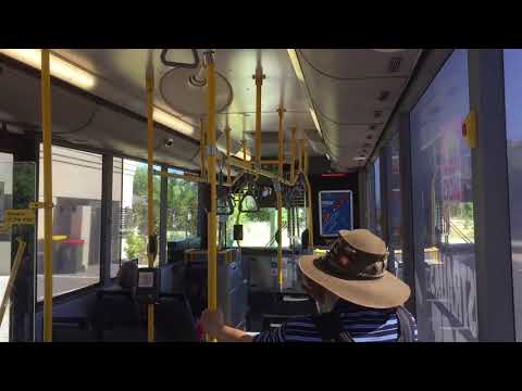 Transperth TP1184 - Mercedes-Benz O405NH (Voith)