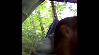 Surviving the Tennessee mountains for 30 days