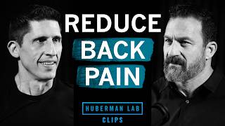 Small Exercises to Reduce Back Pain | Jeff Cavaliere & Dr. Andrew Huberman