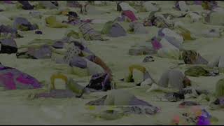 CEO - whorehouse (beethoven. edit)