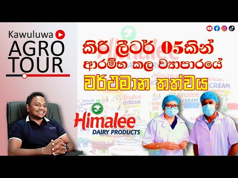 ලංකාවේ තනි පුද්ගලයෙක් සතු විශාලතම කිරි Factory එක | Kawuluwa Agro Tour Himali Dairy Product