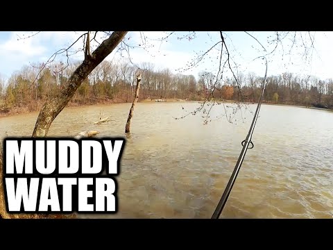 Fishing Raning Spring Early Spring Bass Fishing from the Bank - Realistic Fishing