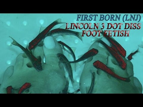 First Born (LNJ) - Foot Fetish (Lincoln3Dot Diss) July 2014