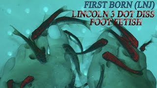 First Born (LNJ) - Foot Fetish (Lincoln3Dot Diss) July 2014
