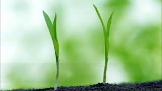 珍惜 （人生青春有几年？)