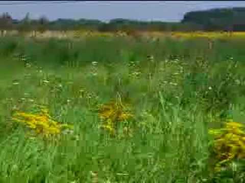 Spot reklamowy - Lewica i Demokraci