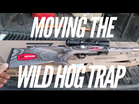 MOVING THE WILD HOG TRAP & A NEW SHOTGUN 🤔🤔🤔