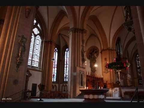 Dom Münster: Gottesdienst, 28.11.2010