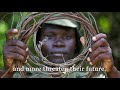 Elephants, Saving Elephants and Habitat Worldwide
