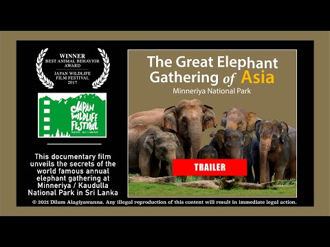 [TRAILER] THE GREAT ELEPHANT GATHERING OF ASIA | FFCSL Documentary Films