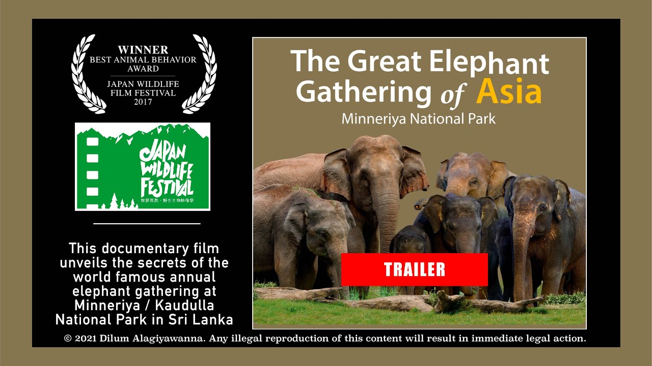 The Great Elephant Gathering Of Asia — Official Trailer