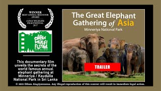 [TRAILER] THE GREAT ELEPHANT GATHERING OF ASIA | FFCSL Documentary Films