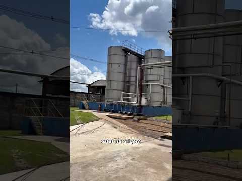 Visita a Fábrica de Óleo de Palma RBD, Gordura de Palma com a BT AGRO BRASIL.